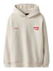 name it Hoodie in Turtledove