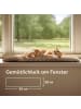 Knupis Fensterliege für Katzen Selbstwärmende Fensterbankmatte 90x28 cm Braun
