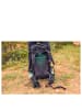 Gregory Stout 70 - Wanderrucksack 80 cm in forest black