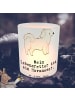 Mr. & Mrs. Panda Windlicht aus Glas Havaneser Lebensretter mit S... in Transparent