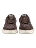 GANT Footwear Sneaker in Dunkelbraun