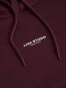 JJXX Kapuzenpullover in Winetasting