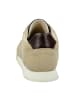 Gant Sneaker Low in Beige