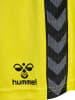 Hummel Hummel Kurze Hose Hmlauthentic Multisport Kinder Atmungsaktiv Schnelltrocknend in BLAZING YELLOW