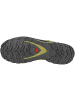 SALOMON Laufschuhe XA PRO 3D V9 GTX in schwarz