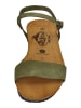 Plakton Sandalen FRAN AMBO 405725 in grün