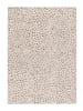 Atticgo Kurzflor-Teppich AMARA in grau/creme
