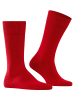 Falke Socken 2er Pack in Rot
