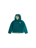 North Face Jacke NF0A88VJN4J1 Grün
