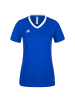 adidas Performance Trikot Entrada 22 in blau / weiß