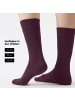 von Jungfeld Classic Socken Signature Innenbund in Bordeaux