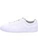 Pius Gabor Sneaker Low in weiß