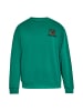 DreiMaster Maritim Men Sweatshirt in Dunkelgrün