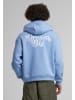 Mister Tee Mister Tee Up And Beyond Fluffy Hoody in powderblue