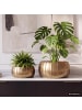 FineBuy Vase in Gold / Aluminium / 39x39x17