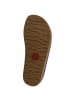 HAFLINGER Grizzly Torben in Blau