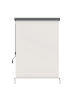 SONGMICS Seitenmarkise Sheld in Beige - (B)250 x (H)140 cm