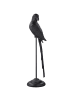 GILDE Figur Parrot schwarz - (H) 85 cm