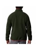 Columbia Helvetia™ II Half Snap Fleece in Dunkelgrün
