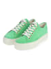 Paul Green Sneaker in Kiwi