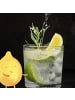 Mr. & Mrs. Panda Whiskyglas Nachtfalter Schaumbad ohne Spruch in Transparent