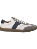 Josef Seibel Sneaker Lio 05 in grau