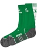 erima Stutzen "Trainingssocken" in Grün