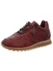 Cetti Sneaker Low in bordeaux