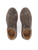 Kazar Sneaker Low in Taupe
