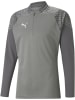 Puma T-Shirt "TeamCUP Training 1/4 Zip Top" in Grau