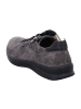 Fidelio Komfort Schnürschuhe in Grau