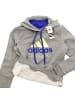 adidas Hoodie Graphic Biathlon in Grau