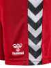 Hummel Kurze Hose Playful Shorts Kinder in TRUE RED