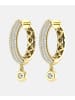 Ethische Diamanten Ohrringe aus 375 Gelbgold mit Lab Grown Diamant