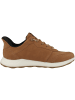 Josef Seibel Sneaker low Clint 03 in braun