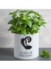 Mr. & Mrs. Panda XL Blumentopf Stinktier Handstand mit Spruch in Weiß