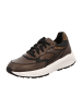 Xsensible Sportliche Schnürschuhe in Braun