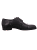 LLOYD Business Schnürschuh in schwarz