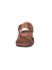 Pikolinos Sandalette in braun