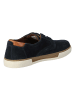 Camel Schnürschuhe in navy