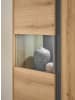 Furn.Design Vitrine Eiche Evoke 50 x 155 cm, Vitrinenschrank 2-türig mit 4 Fächern