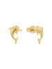 Amor Ohrstecker Gold 585/14 ct in Gold