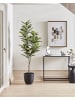 Beliani Kunstpflanze FICUS ELASTICA in Grün/Schwarz - (W) 66 x (H) 160 x (L) 66 cm