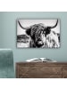 MuchoWow Leinwand bilder Schottisches Hochlandrind (BxH)
