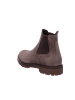 Floris van Bommel Schnürschuh in taupe