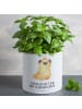 Mr. & Mrs. Panda Blumenkübel Mops Krone mit Spruch in Weiß