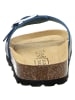 Camel Active Pantoletten in blau