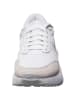 Nike Turnschuhe in white/white/pure platinum