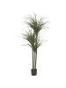 Beliani Kunstpflanze DRACAENA ANITA in Grün/Schwarz - (W) 88 x (H) 198 x (L) 88 cm