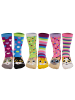 United Oddsocks Socken 3er Pack in Catwalk